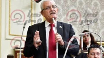 المغاوري لـ “تحيا مصر”: الوحدة الوطنية وتمثيل مختلف التيارات السياسية يعدان أكثر أهمية من خلق بيئة سياسية مناسبة.