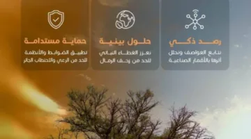 محمية الإمام تركي: جهود في مواجهة العواصف الرملية