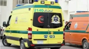 زيادة إصابات الأطفال في دلجا بالمنيا إلى 6 بعد إدخال طفلتين للمستشفى ووفاة 4 آخرين.