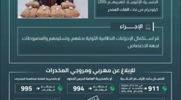 إلقاء القبض على خمسة أشخاص بتهمة تهريب 200 كجم من القات في الدائر