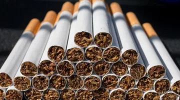 ارتفاع متوقع في أسعار السجائر… استقرار في أسعار العملات… ومصر تتصدر إفريقيا في سرعة الإنترنت الثابت.