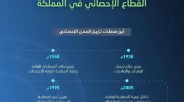 المملكة تحتفل غدًا بذكرى مرور 65 عامًا على بداية العمل الإحصائي