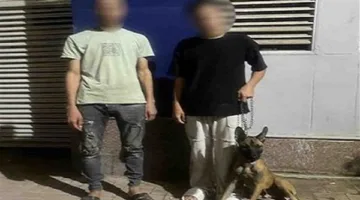 الداخلية تكشف تفاصيل استخدام كلب لتحديد ملابسات اعتداء شخصين بالقليوبية