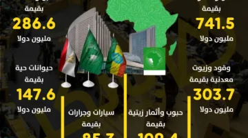 أبرز السلع المستوردة من دول الاتحاد الإفريقي في عام 2024 | إنفوجرافيك