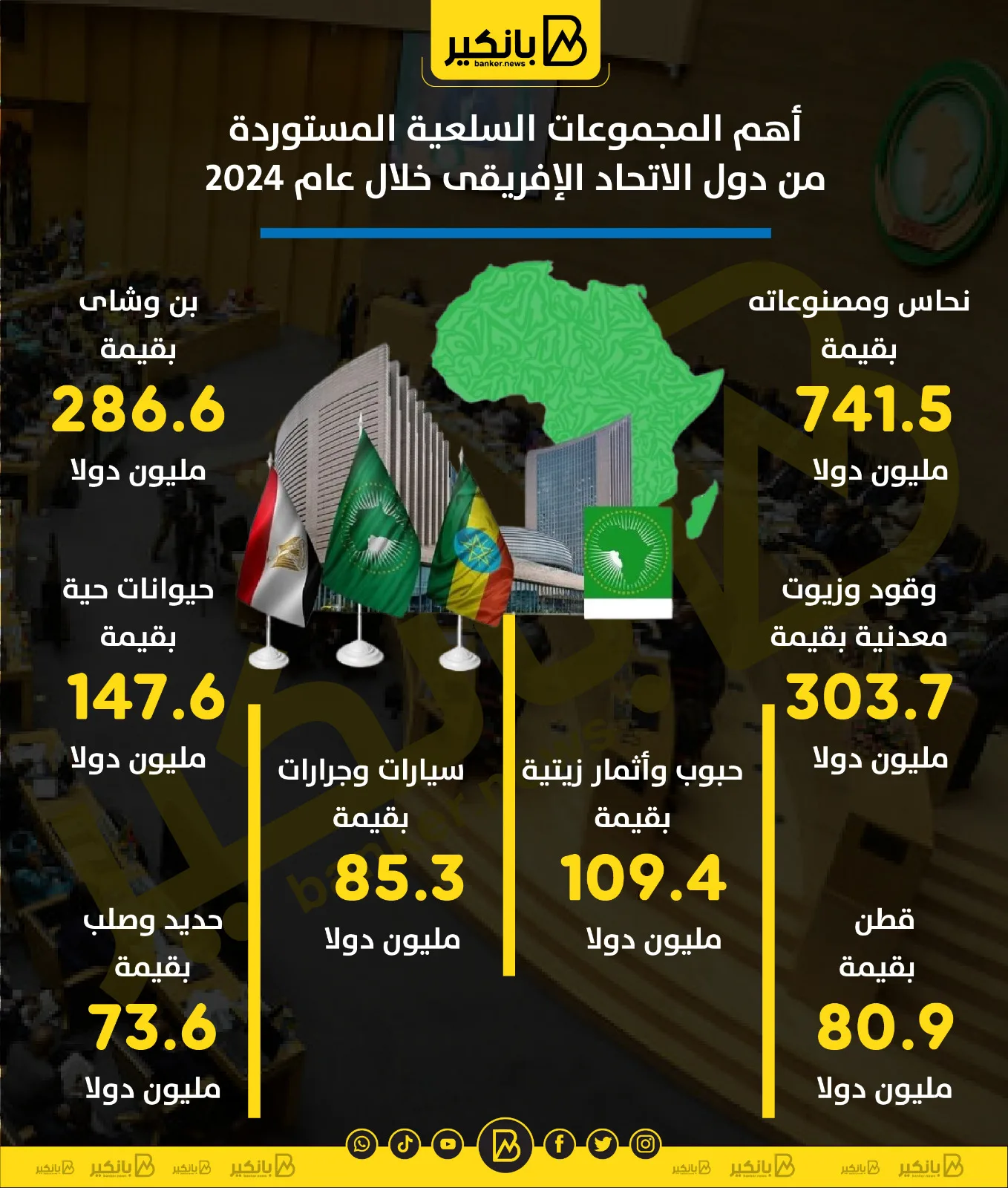 أبرز السلع المستوردة من دول الاتحاد الإفريقي في عام 2024 | إنفوجرافيك أبرز السلع المستوردة من دول الاتحاد الإفريقي في عام 2024 | إنفوجرافيك