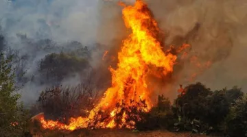 حرائق اللاذقية: فرق الإطفاء تنجح في السيطرة على انتشار النيران في كافة الاتجاهات