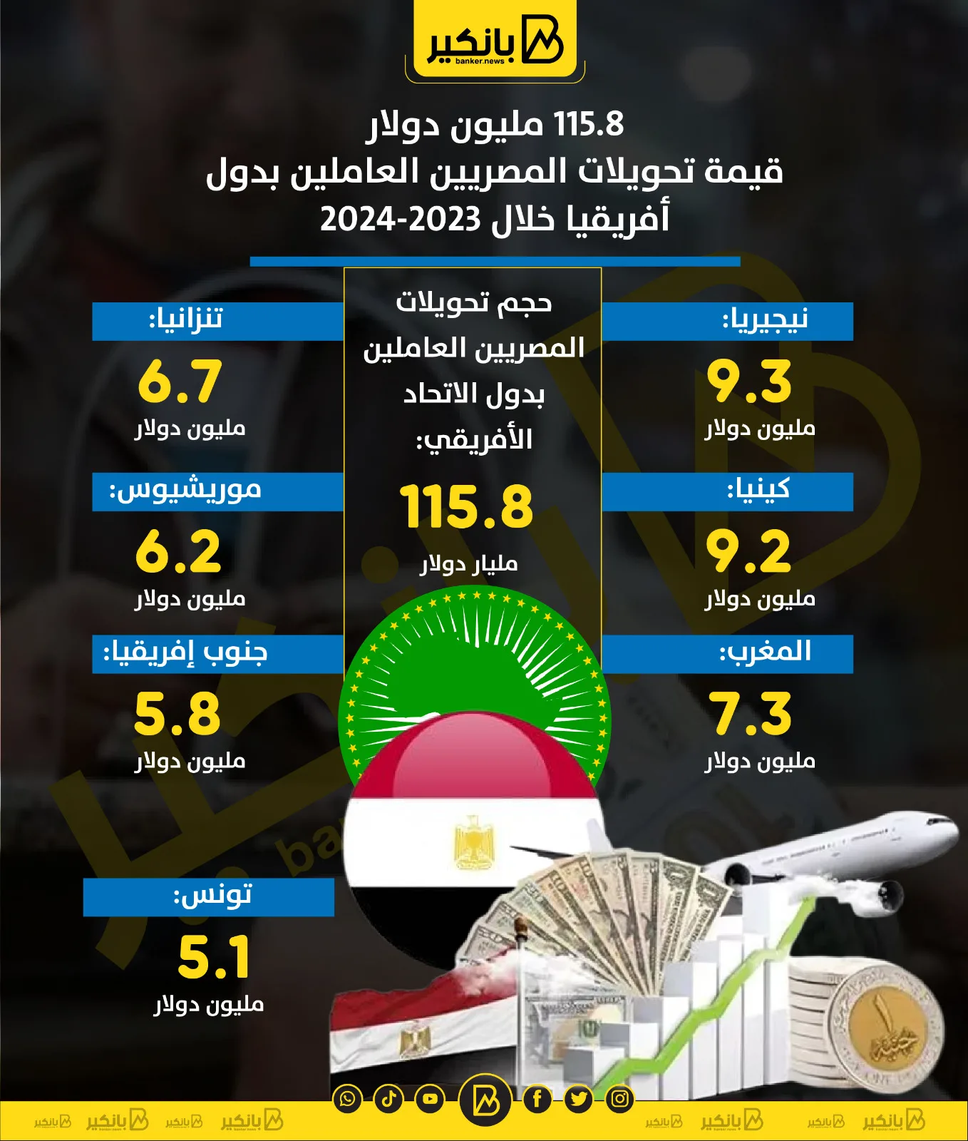 115.8 مليون دولار حجم تحويلات المصريين العاملين في دول إفريقيا خلال 2023-2024 | إنفوجراف