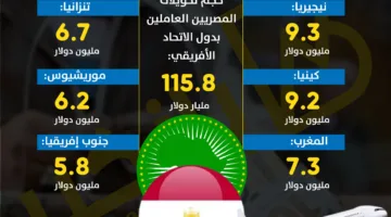 115.8 مليون دولار حجم تحويلات المصريين العاملين في دول إفريقيا خلال 2023-2024 | إنفوجراف