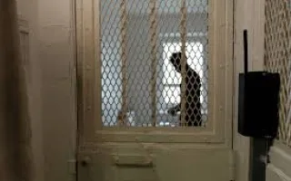 فرنسي يت escape من السجن داخل حقيبة نزيل آخر أتم فترة عقوبته