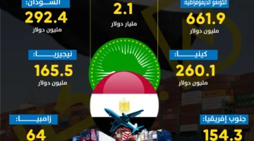حجم الصادرات المصرية من دول الاتحاد الإفريقي في عام 2024 | رسم بياني