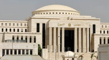 السبيل إلى البرلمان