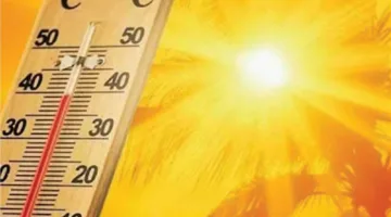 مصر تعتمد خطة لحماية العمال من تأثيرات المناخ