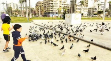 ساحة الحمام