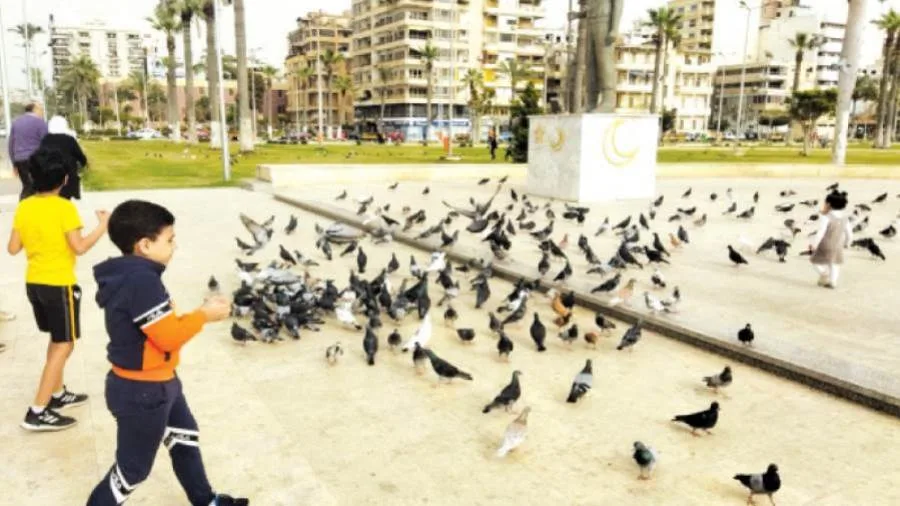 ساحة الحمام