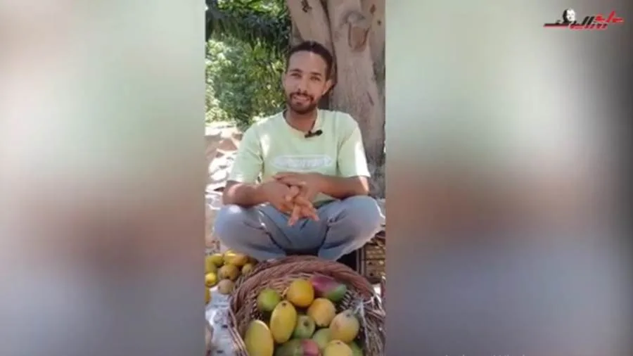 كيف أصبحت مزرعة المانجو في الإسماعيلية وجهة سياحية