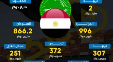 قيمة صادرات مصر إلى دول الاتحاد الإفريقي في عام 2024 | رسم بياني