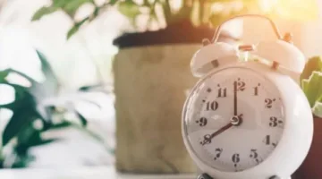 العادات الصباحية وفقدان الوزن: 7 كتب سهلة تُحدث تغييرًا ملحوظًا