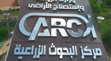 وكيل معهد بحوث القطن يقوم بجولة تفقدية في محطة الأبحاث الزراعية بسخا