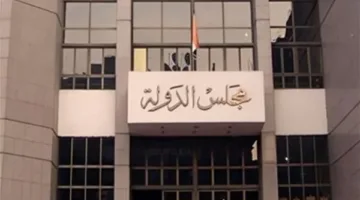 الهيئة الوطنية للانتخابات تتابع تحضيراتها.. والإعلان عن الكشوف النهائية لمرشحي مجلس الشيوخ قريباً.