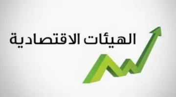 زيادة بنسبة 9.1% في حجم رأس المال المدفوع للكيانات الاقتصادية في عام 2023/2024