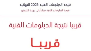 برقم الجلوس.. تحقق الآن من نتيجة الدبلومات الفنية 2025 على nategafany.emis.gov.eg