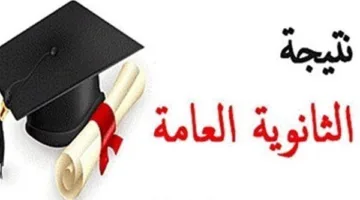 موعد انتهاء تصحيح إجابات امتحانات الثانوية العامة 2025.. النتائج ستعلن قريباً.
