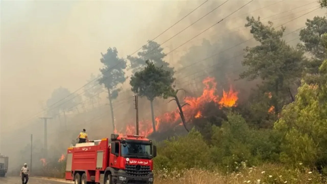 الدفاع المدني السوري: قمنا بالسيطرة على أغلب الحرائق في اللاذقية الدفاع المدني السوري: قمنا بالسيطرة على أغلب الحرائق في اللاذقية