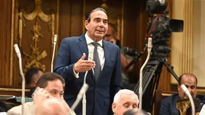 أيمن أبو العلا: جهود مصر في إفريقيا تعزز الشراكة المتوازنة والتنمية المشتركة أيمن أبو العلا: جهود مصر في إفريقيا تعزز الشراكة المتوازنة والتنمية المشتركة