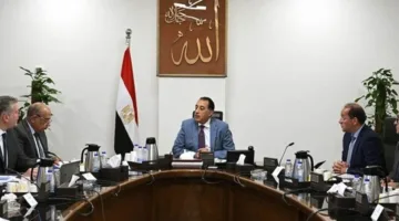 “مدبولي” يراقب خطوات تأمين التمويل اللازم لشراء المواد البترولية لتشغيل محطات الطاقة الكهربائيّة.
