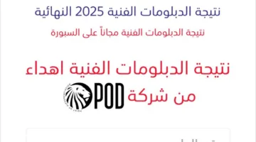 نتائج الدبلومات الفنية 2025 برقم الجلوس متاحة الآن على موقع السبورة
