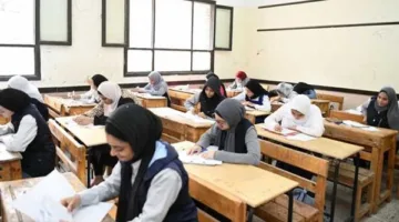 نتائج دبلوم التجارة 2025 برقم الجلوس.. استعلم عنها الآن