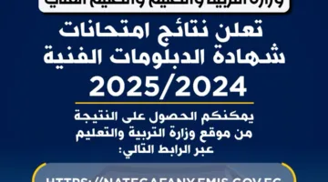 رسميًا.. رابط الحصول على نتائج الدبلومات الفنية 2025 عبر موقع وزارة التعليم.