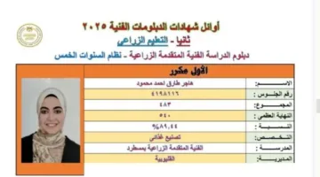 محافظ القليوبية يبارك أوائل الدبلومات الفنية عبر الهاتف