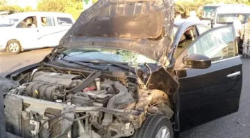 قتيل نتيجة حادث على الطريق السريع