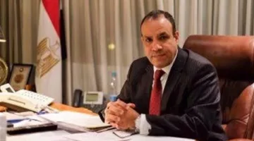 وزير الخارجية: الرئيس السيسي يقدم رؤية متكاملة لتعزيز الأمن وإعادة البناء في أفريقيا