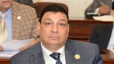 سامي نصر الله: انتخابات مجلس الشيوخ تُعدّ خطوة إضافية لتعزيز الديمقراطية سامي نصر الله: انتخابات مجلس الشيوخ تُعدّ خطوة إضافية لتعزيز الديمقراطية