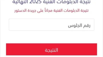 الحصول على نتائج الدبلومات الفنية 2025 بسهولة باستخدام الاسم أو رقم الجلوس