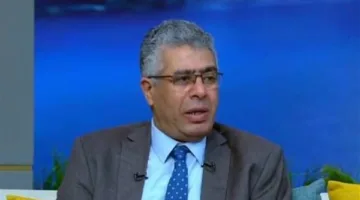 نائب: القارة تواجه صعوبات كبيرة للغاية ودور مصر مهم وبارز.