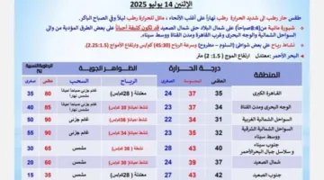 بسبب هذه الظاهرة | تصريح عاجل من الأرصاد حول أحوال الطقس يوم الإثنين 14 يوليو 2025