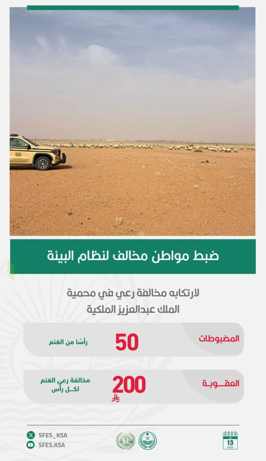 إلقاء القبض على مواطن انتهك قوانين البيئة من خلال الرعي في محمية الملك عبدالعزيز إلقاء القبض على مواطن انتهك قوانين البيئة من خلال الرعي في محمية الملك عبدالعزيز