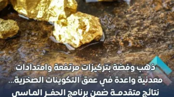 وزراء المعلومات: الدرع النوبي العربي يكشف عن كنوزه من الذهب والفضة.
