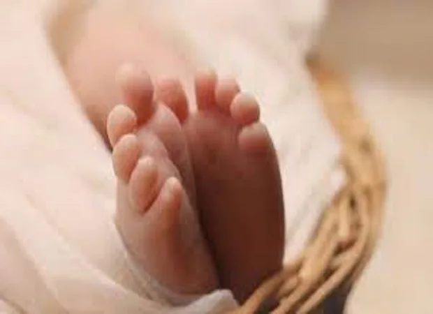 اكتشاف جثة رضيع حديث الولادة في الباجور بالمنوفية اكتشاف جثة رضيع حديث الولادة في الباجور بالمنوفية