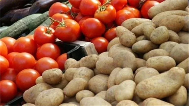 خفض الأسعار وزيادة الصادرات: وزير الزراعة يعلن عن رفع إنتاج البطاطس والطماطم بنسبة 15% خفض الأسعار وزيادة الصادرات: وزير الزراعة يعلن عن رفع إنتاج البطاطس والطماطم بنسبة 15%