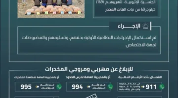 إلقاء القبض على 13 شخصًا لتهريبهم 169 كجم من القات في الربوعة