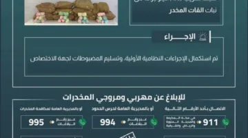 إفشال محاولة تهريب 150 كجم من القات في العارضة
