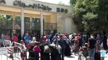 وزير الزراعة: حديقة حيوان الجيزة ستُنفتح رسميًا في سبتمبر بعد إجراء تطوير كامل