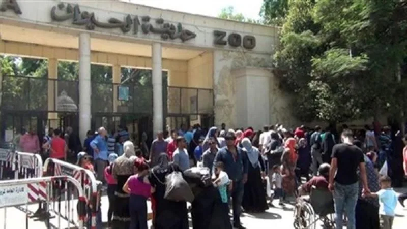 وزير الزراعة: حديقة حيوان الجيزة ستُنفتح رسميًا في سبتمبر بعد إجراء تطوير كامل وزير الزراعة: حديقة حيوان الجيزة ستُنفتح رسميًا في سبتمبر بعد إجراء تطوير كامل