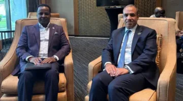 وزير الخارجية يلتقي بعدد من نظرائه الأفارقة وكبار مسؤولي الاتحاد الإفريقي في جلسات مكثفة