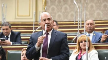 رئيس لجنة الدفاع بالنواب: القيادة المصرية تعتبر مستقبل القارة الإفريقية من أهم أولوياتها