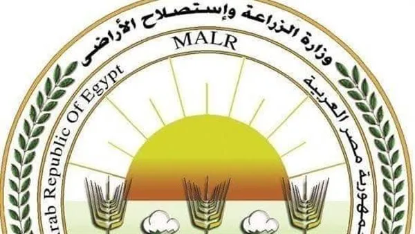 “الزراعة” تواصل مساعيها لتعزيز مفهوم الزراعة التعاقدية وتثقيف المزارعين حول فوائدها في تسويق المحاصيل. “الزراعة” تواصل مساعيها لتعزيز مفهوم الزراعة التعاقدية وتثقيف المزارعين حول فوائدها في تسويق المحاصيل.